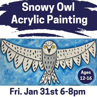 Snowy Owl Acrylic Painting (Ages 12-16)